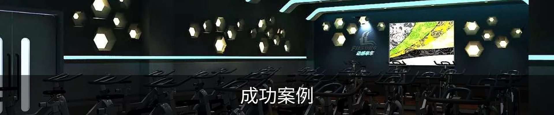 成功案例